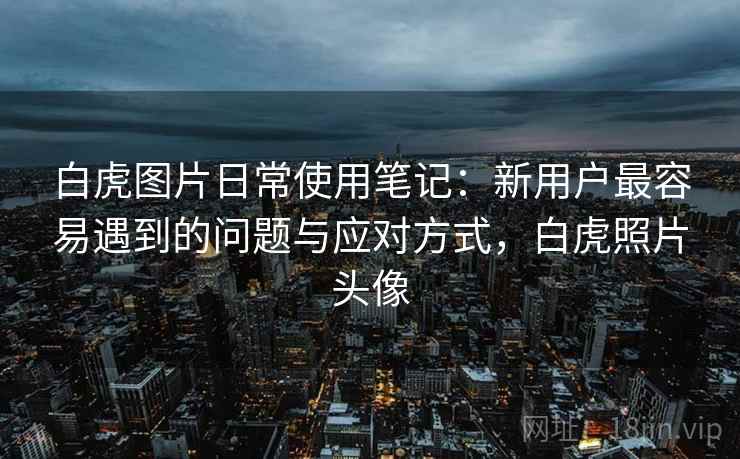 白虎图片日常使用笔记：新用户最容易遇到的问题与应对方式，白虎照片头像
