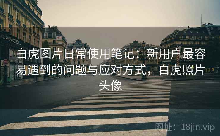 白虎图片日常使用笔记：新用户最容易遇到的问题与应对方式，白虎照片头像